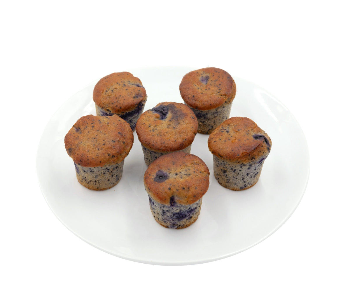 Blueberry Mini Protein Muffins